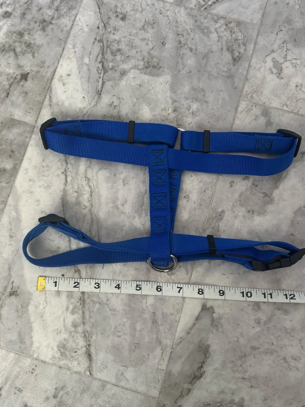Royal Blue Adjustable Dog Harness